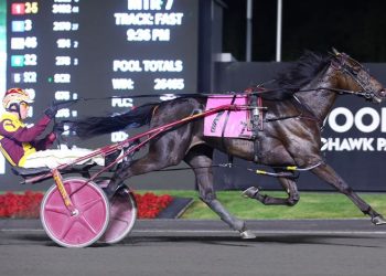 Mohawk Park’s 2-Year-Old Summer Series returns