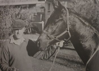 Great Sapling Stakes winners