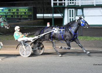 Twin B Tuffenuff dominates rivals