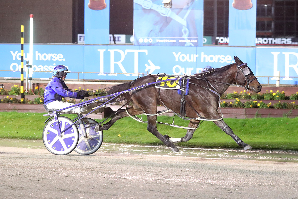 Vessem latest Superstar 2