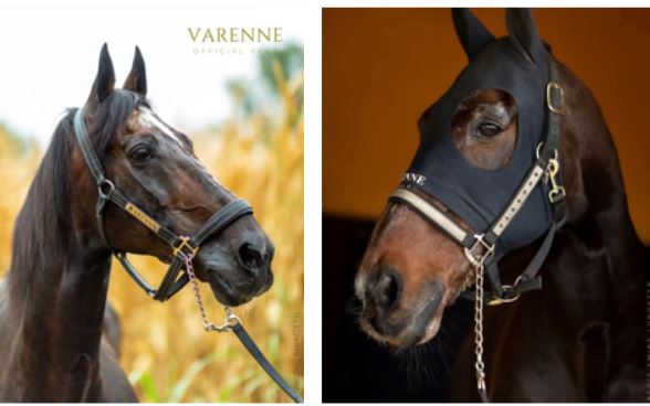 Magic Man, Impala de Val impress at Vincennes 5