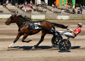 Dexter picks up two $59,100 NYSS divisions