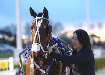 Six for Cullen across two venues