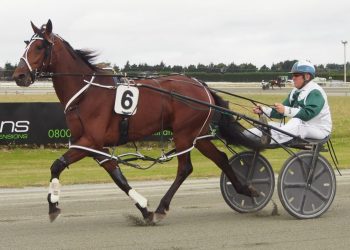 Kirk Larsen talks Ascot Park