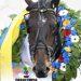 Borups Victory takes Gr. I Paralympiatravet Final 2 Borups Victory takes Gr. I Paralympiatravet Final