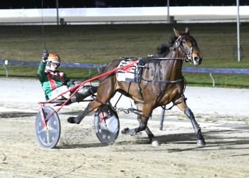 ‘Herbie’ to resume international journey