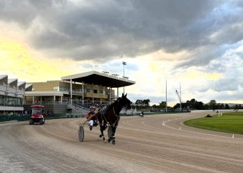 Herbertson strikes twice at Scioto Downs