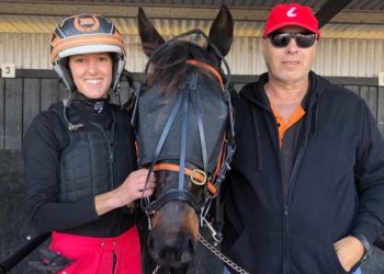 Apex on the rise for devotee trots trainer