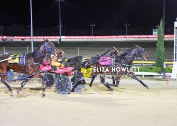 Older hits ground running in Tassie return