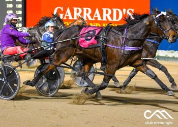 Star racemare set for Autumn Mix Sale