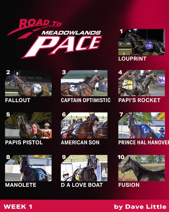 Dave Little’s Road To The Meadowlands Pace week one 1