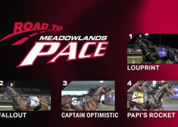 Dave Little’s Road To The Meadowlands Pace week one