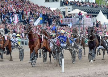 Cobra Killer Gar out, 16 horse Elitloppet field complete