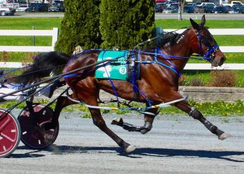 Mark Harris scores training hat trick at Bangor