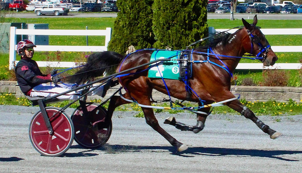 Mark Harris scores training hat trick at Bangor 1