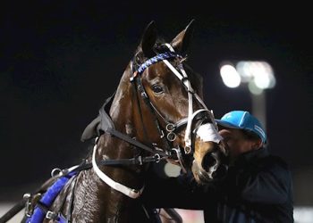 Latest auction set to close 7pm Wednesday