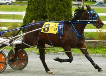 Win streaks extended by veteran campaigners