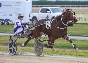 Last start winner one of 14 Lots offered this week