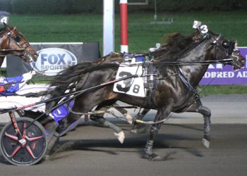 Dave Little’s Road To The Meadowlands Pace week two