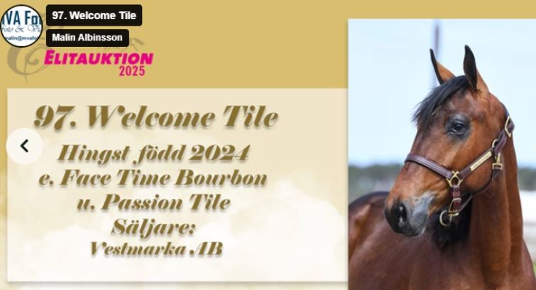 Inmarosa wins 1,000,000SEK Gr.I Harper Hanovers 6