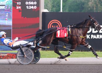 Chantilly remains undefeated, wins Fan Hanover elimination