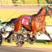 Graduate Series kicks off at Woodbine Mohawk Park