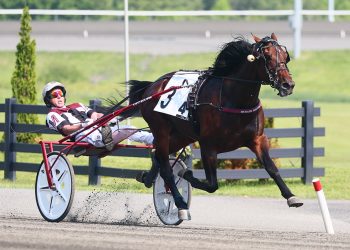 Upsets and favourites in Armbro Flight, Goodtimes Elims