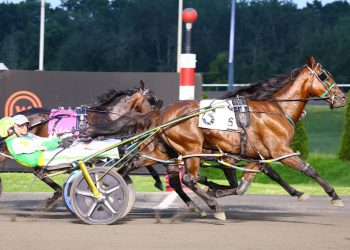 Jamieson sweeps Tompkins-Geers divisions