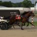 Noble scores three in 2nd Leg of Buckeye Stallion Series 4