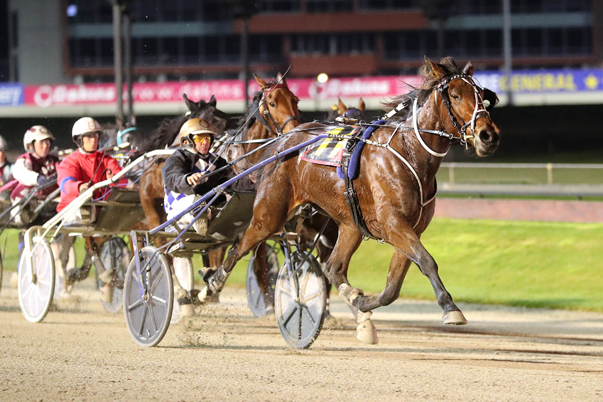 Williamson doubles down 1