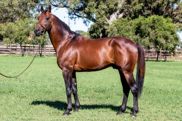 Always B Miki not shuttling this coming season due to injury 1