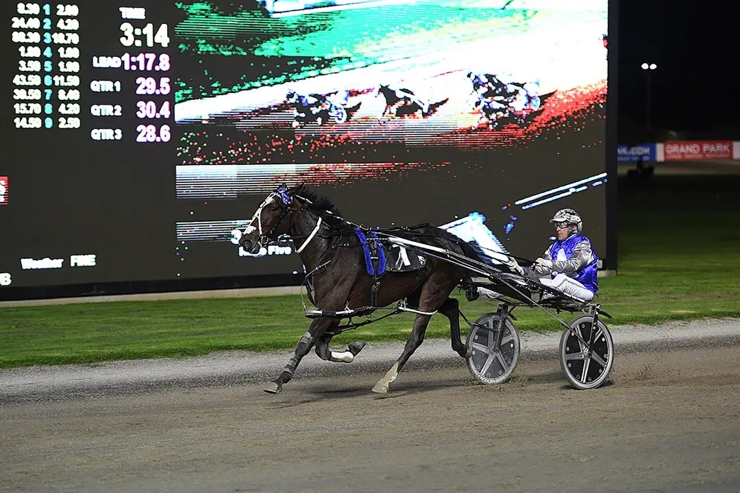 Cullen stocks on the rise 12