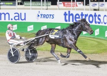 Arcee Phoenix looks stylish in Free for All win.