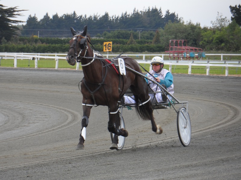 Death of well known Southland horseman Murray Brown 3