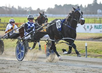 Louie wins Champion Stakes