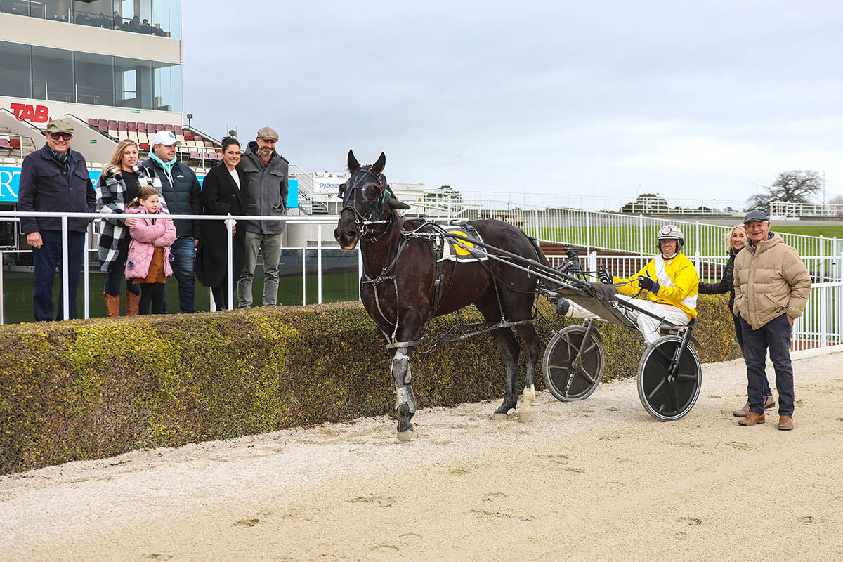 Dual code Dobbs gets another harness winner 4