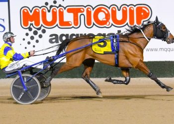 Bet N Win on target for the Inter Dominion with debut win in Sydney