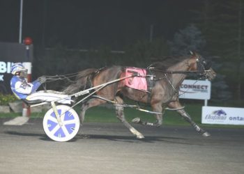 Game Changers – Better Single