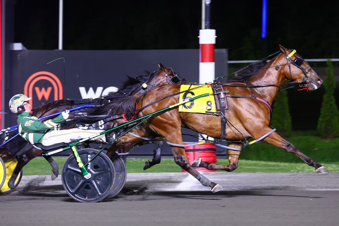 Brue Hanover strikes gold in $100,000 Mohawk Gold Cup 1