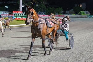 Call To Order in dramatic protest win in The Hayden