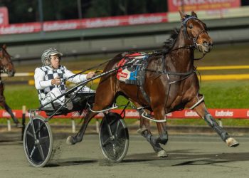 Weekly spotlight on breeding