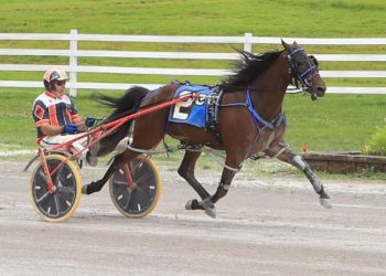 Chesterman, Mungillo team up in USHDC win