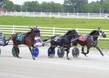 Clearchoice De Vie wins for Roy Marohn