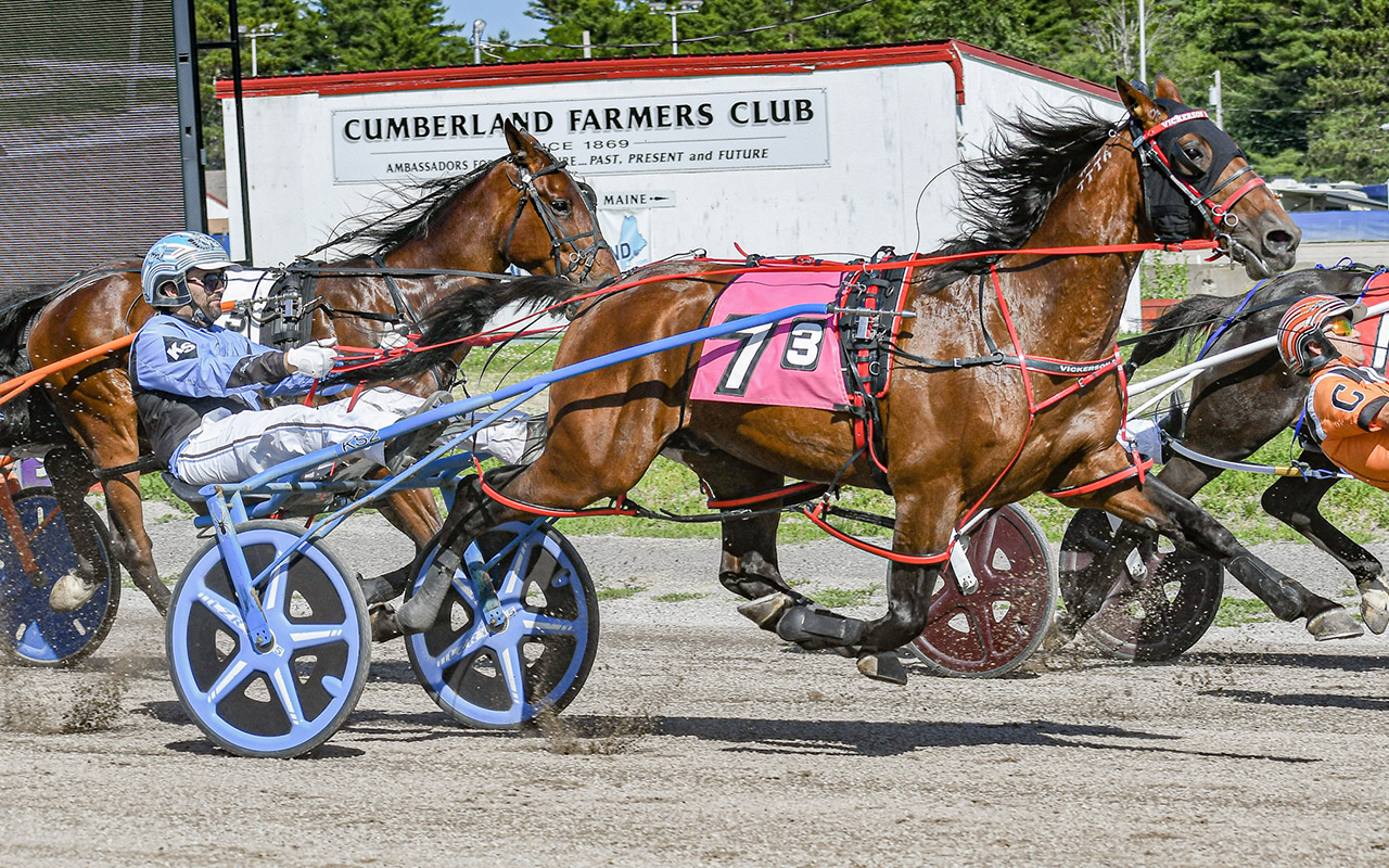 11-year-old NZ Derby champion still winning races in the USA 1