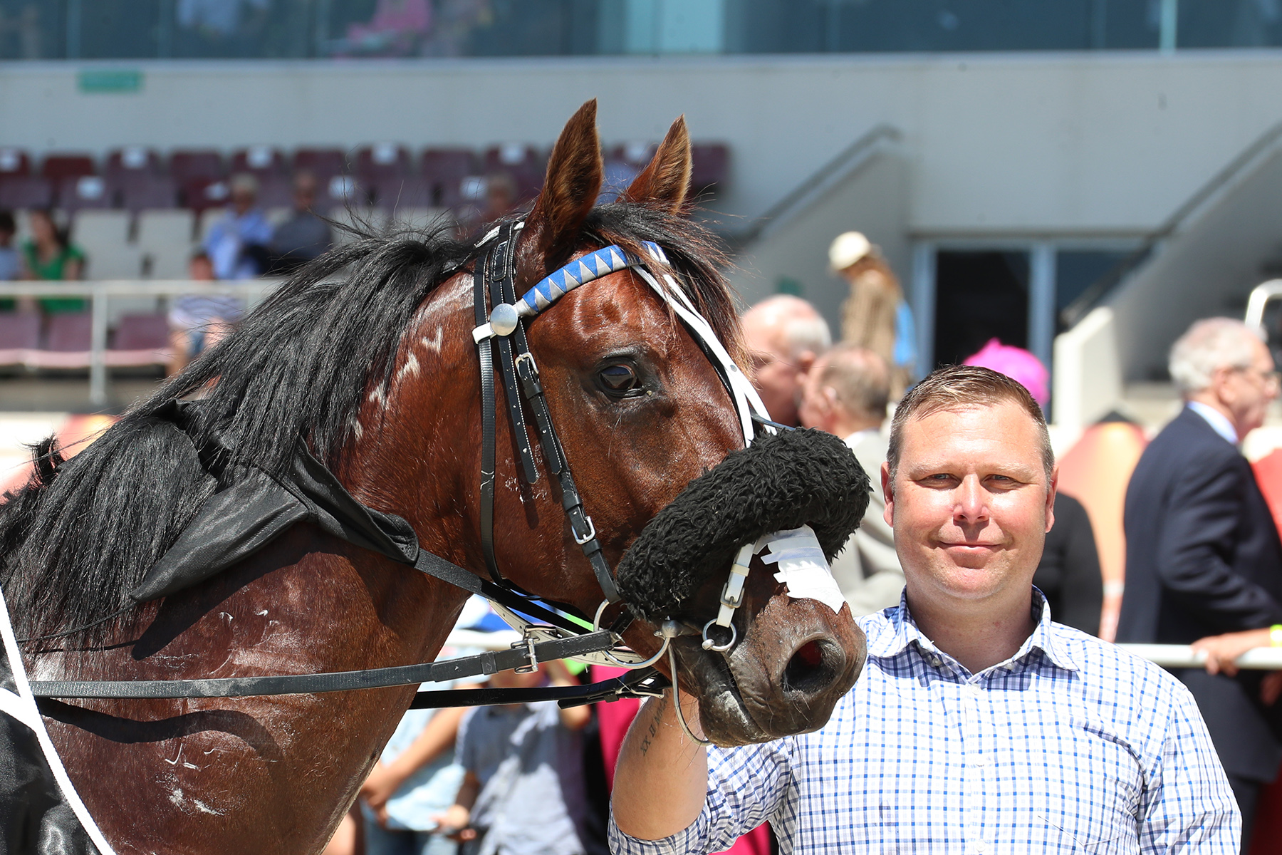 Cullen stocks on the rise 14