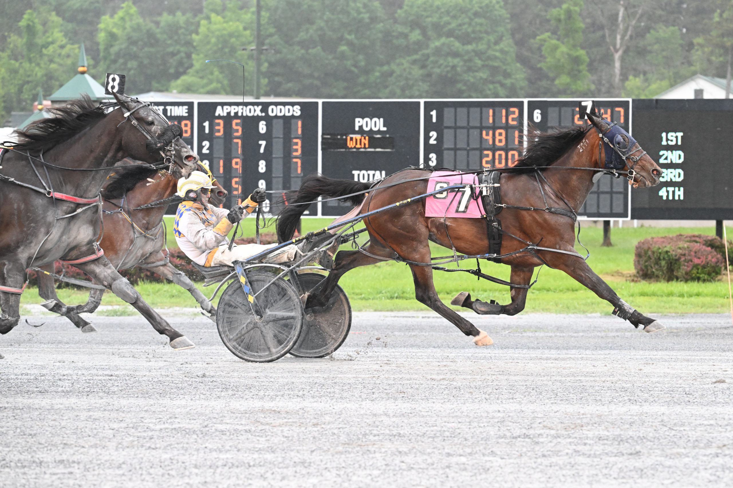 Waitforever N goes back to back 1