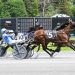 Alittlesidehustl N scores fourth win of the season 2
