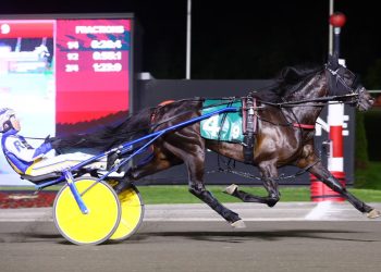 Emoticon Legacy gets a $227,000 Goodtimes score