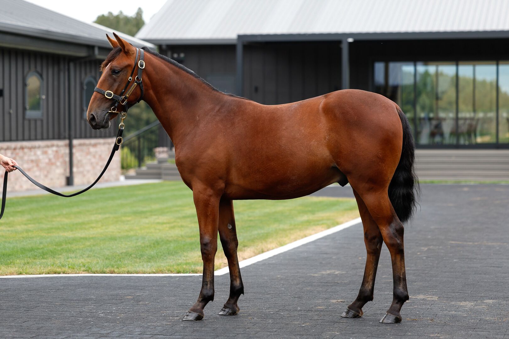 Cullen stocks on the rise 9