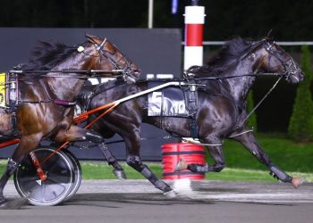 Fashion Frenzie matches Canadian mile record
